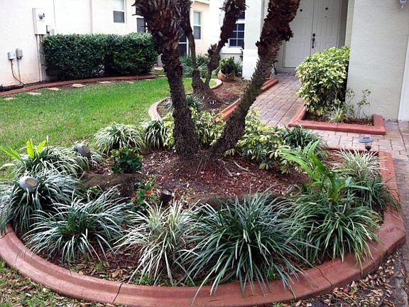 Lush tropical plants welcome home everyday.