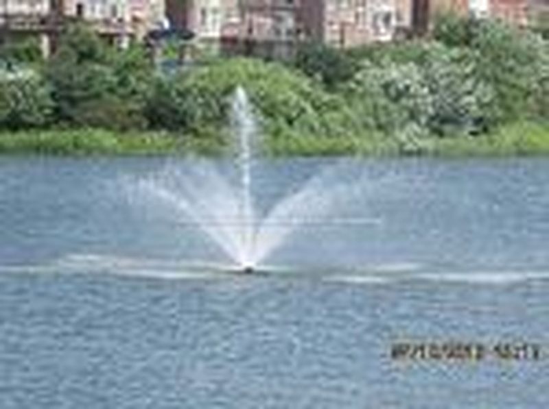 Brampton House for rent - 3 Bedrooms — photo 3