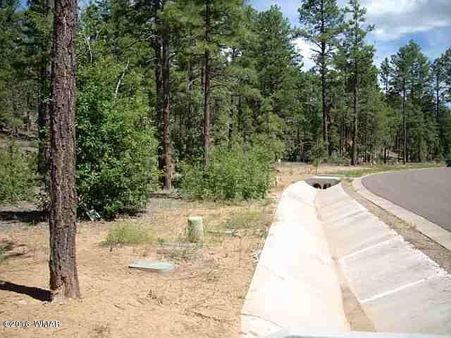 2nd image of 2081 S Bristle Cone Dr