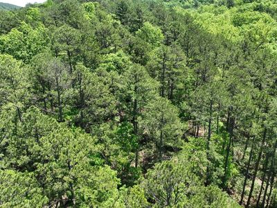 Heather Ln, Mena, AR, 71953