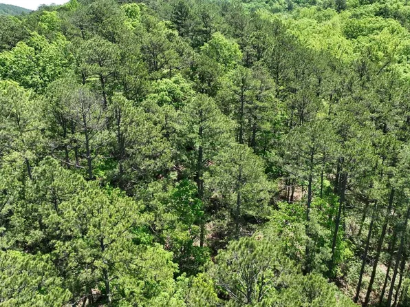 Heather Ln, Mena, AR 71953