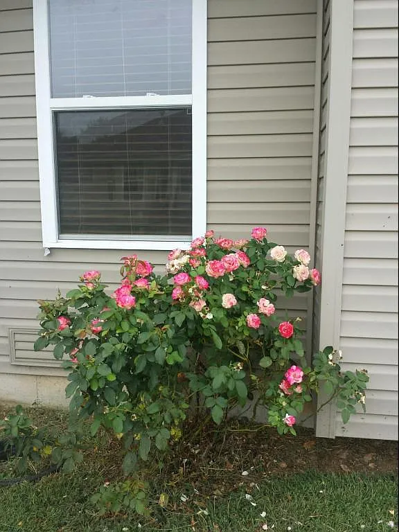 1002 Care Ave — Photo 4