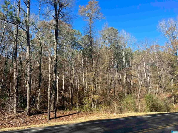30 Bona Rosa Ln Unit 1, Ragland, AL 35131