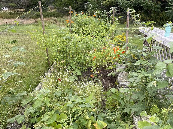 The garden patch has great potential as you can see!