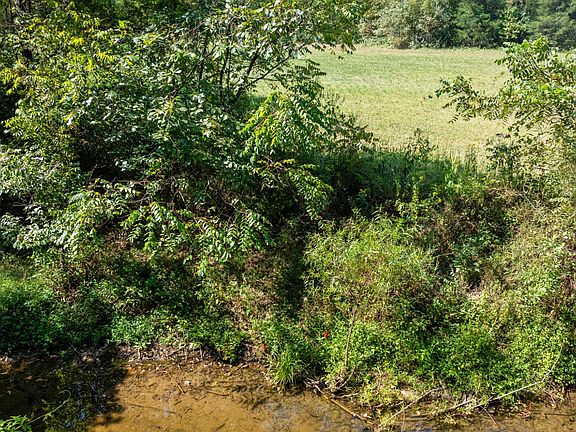 3rd image of 13741420 Dupont Rd Lot Tr2