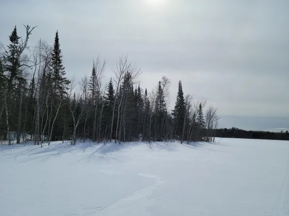 S Pickerel Rd, Effie, MN 56639