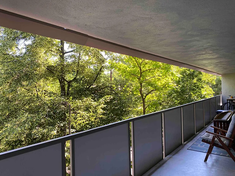 300 square foot balcony, view of downtown when leaves fall