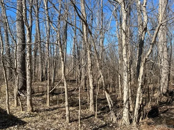 0 Wilson Ave #12, Lancaster, NY 14086