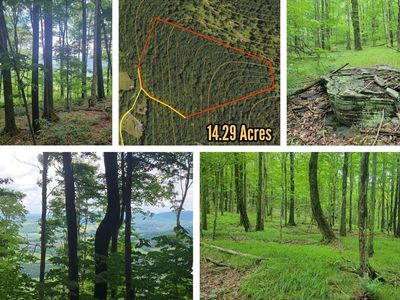 0 Cowan Rd, Hobart, NY, 13788
