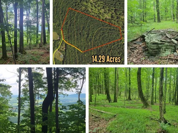 0 Cowan Rd, Hobart, NY 13788