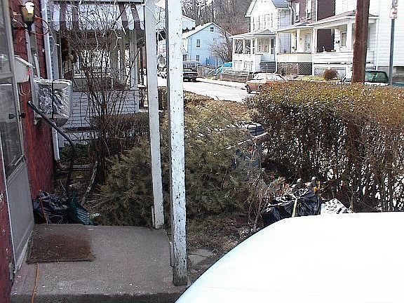 8x10 front yard
