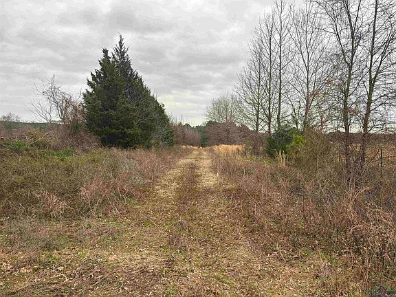 5th image of Easement Road Cres #2923