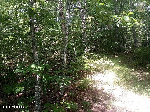 2nd image of 0 Austin Dr Lot 15