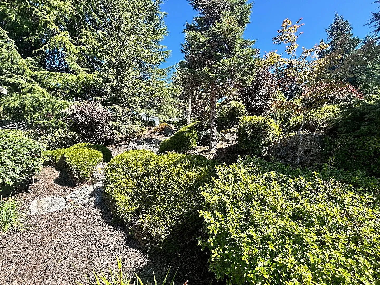Everett Gem — Photo 3