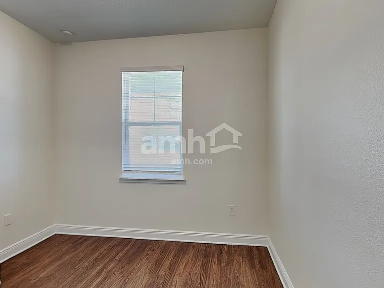 1367 Celery Palm Cv — Photo 20