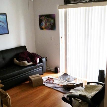 2nd image of 5426 Sealine Blvd