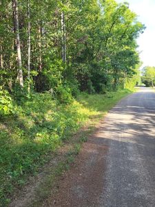 0 Henrys Trl, Nathalie, VA, 24577