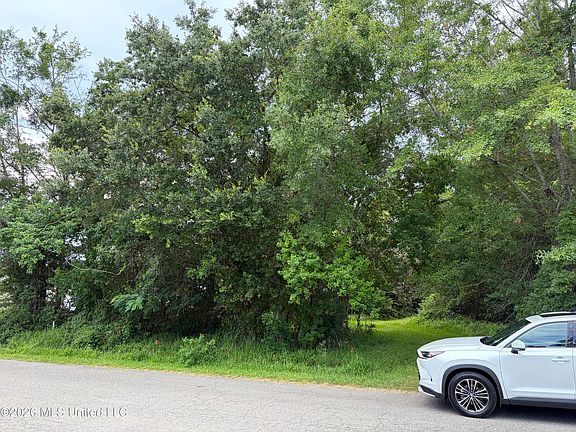 3rd image of 6821 Bienville Dr