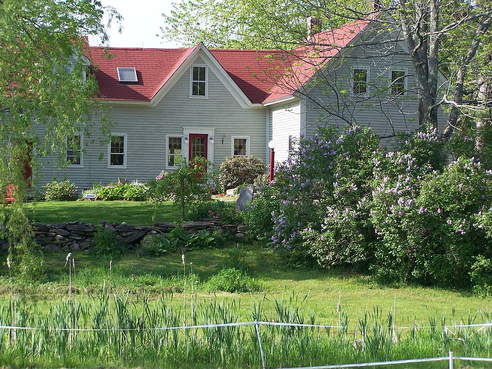 view from the garden
