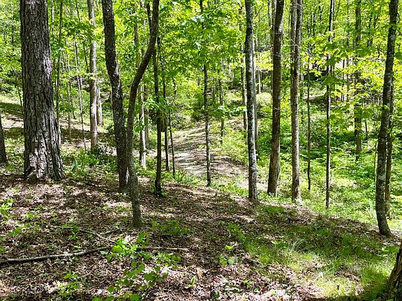 2nd image of 69 Mountain Creek Hollow Dr