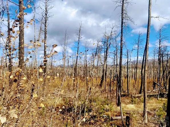 0 Galbreath Ln, Fort Garland, CO 81133