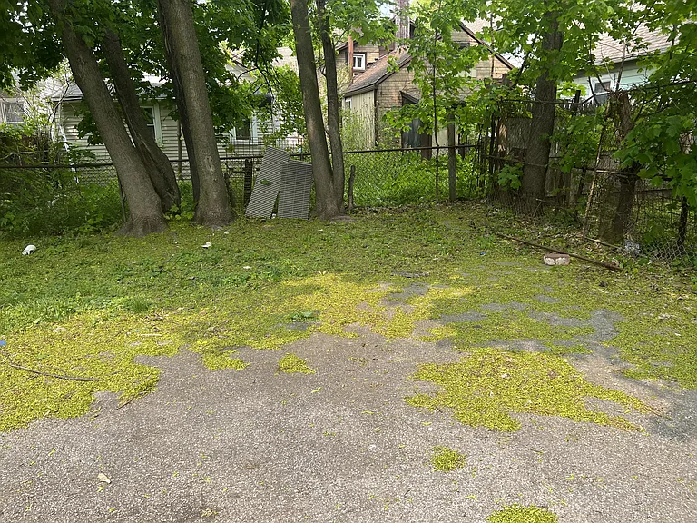 6 Schley Pl — Photo 29
