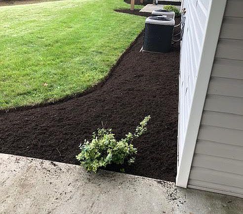 Back porch outside of basement