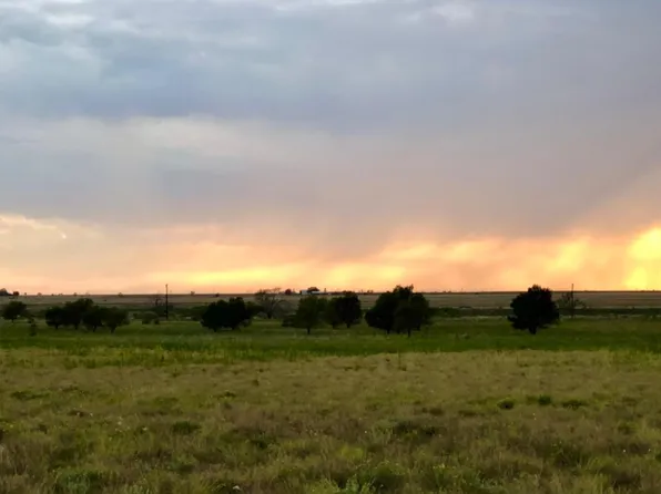 891 Rebecca, Shallowater, TX 79363