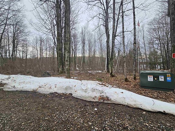 2nd image of Porcupine Lake Rd