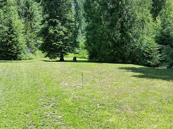 Grass on North side