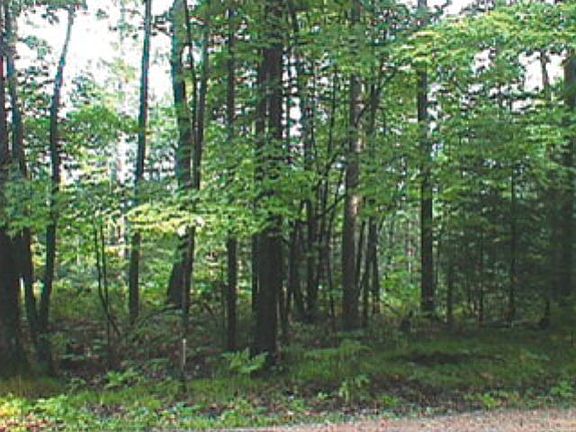 2nd image of Club View Ests Lot 2
