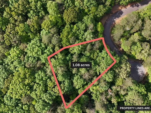 0 Terry Ct, Clarkesville, GA 30523