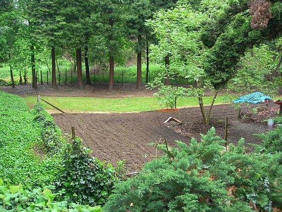 Here is the lower yard area, and garden, viewing from  west of property.