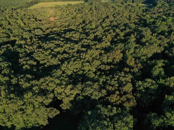 0 Miller Rd, Ola, AR 72853