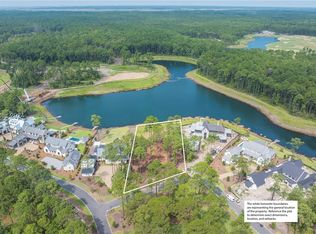 60 Redroot St, Bluffton, SC 29910