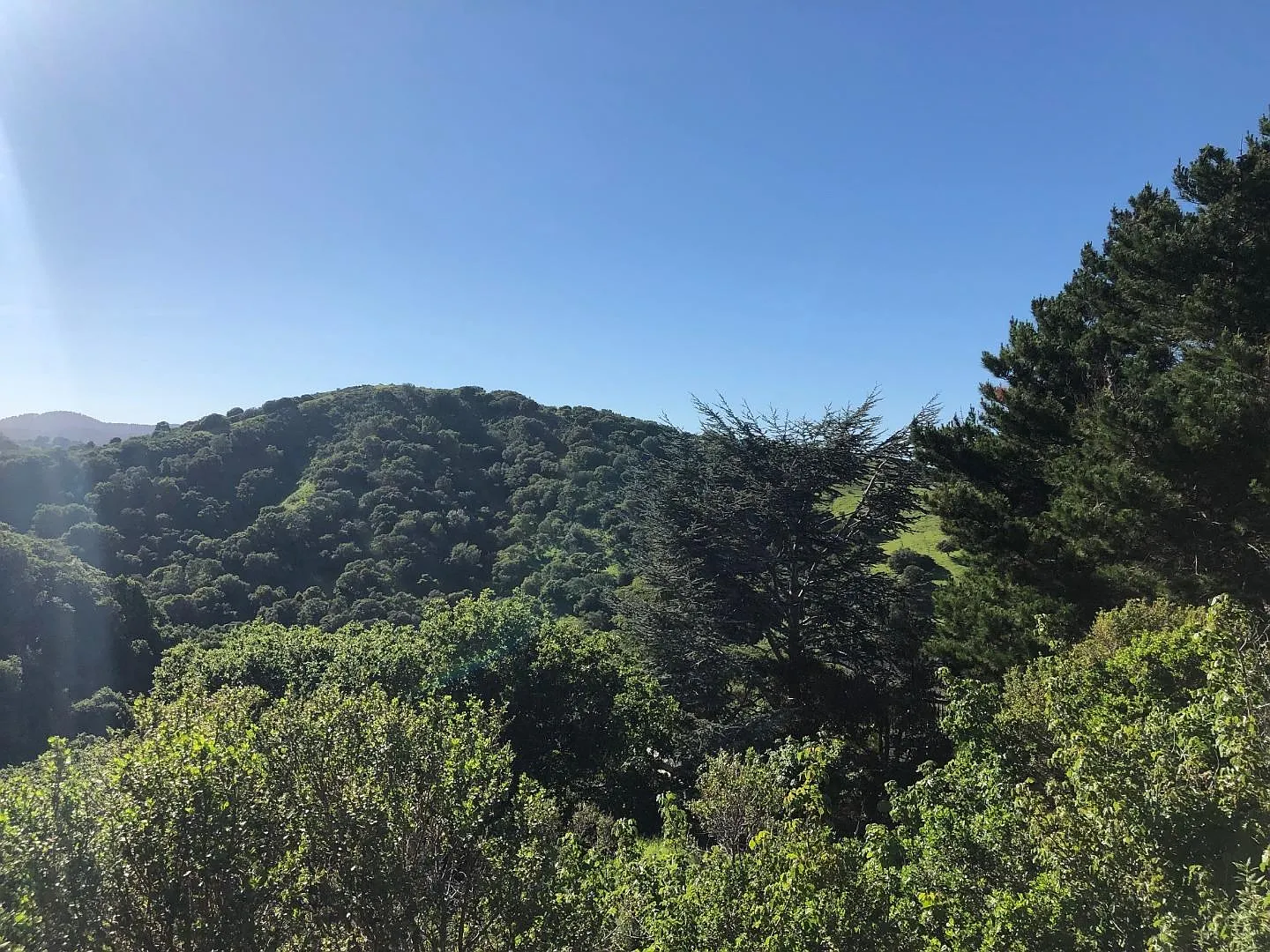 Alhambra Dr photo 1