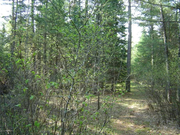 15405 Thoren Dr NW, Solway, MN 56678