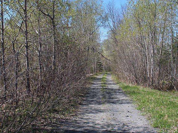 2nd image of Mary Jane Riley Rd Lot 1
