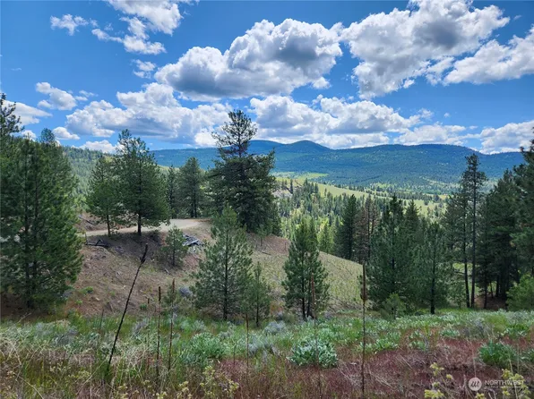 0 TBD Marlys Road, Tonasket, WA 98855