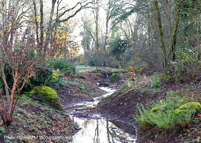 Bioswale that runs through the community.