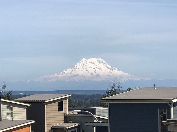 View from Rooftop Deck 