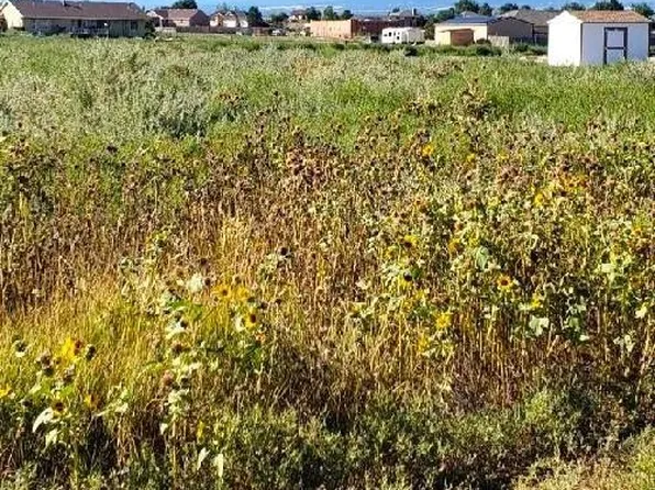 1460 W Guatamote Dr, Pueblo West, CO 81007