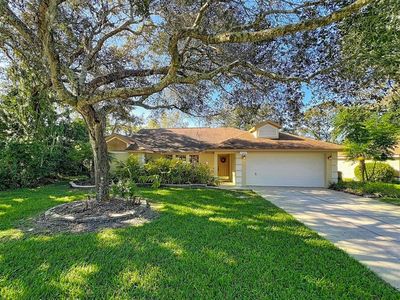 10040 Silver Bluff Dr, Leesburg, FL, 34788