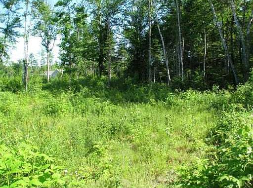 4th image of 0 Wood Acres Road