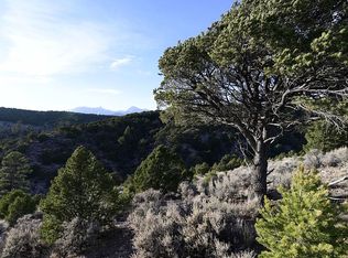 LOT 4657 Yamaha Rd, Fort Garland, CO 81133