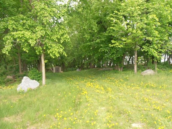 5th image of 275 Street Castle Rock