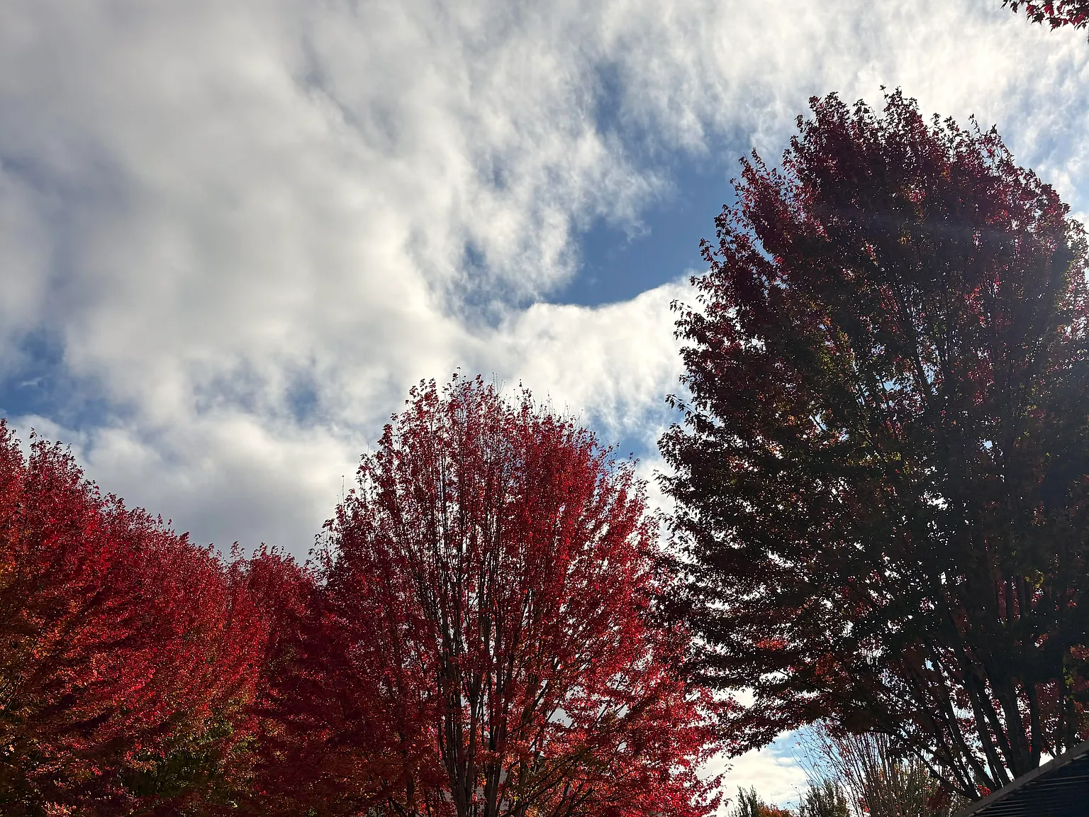 Knox Butte Apartments — Photo 1