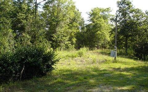 2nd image of 244 Little River Trl