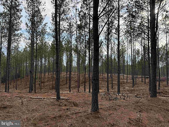 2nd image of Calvary Church Rd #Et2-2011