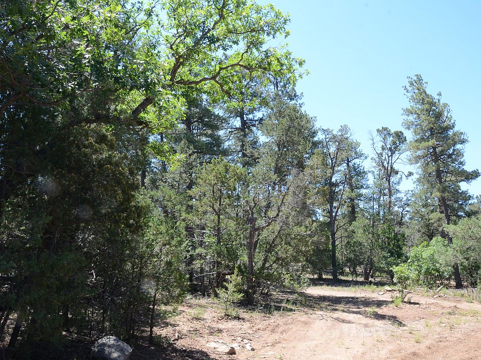 2nd image of 97 Big Dipper Rd